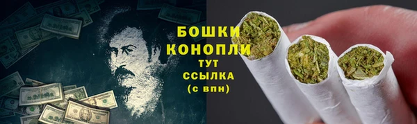 молекула духа Медвежьегорск