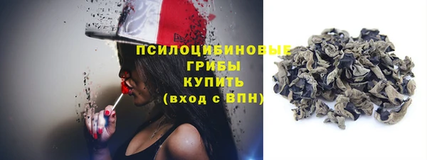 молекула духа Медвежьегорск