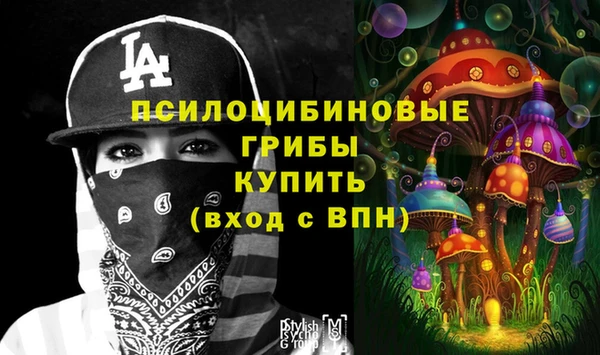 скорость Магас