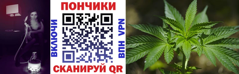 купить закладку  Магас  Шишки марихуана Bruce Banner 